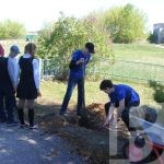 Добрые дела волонтеров