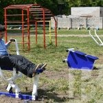 Уголок здоровья