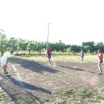 Чемпионы двора