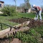 К садоводам приходит «безнал»