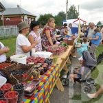 Новоселки – малиновый край