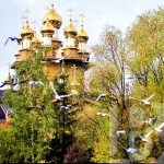 Родные края