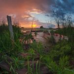 Привычные. Прекрасные…