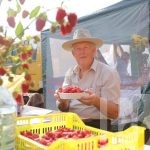 Вкусно, с толком и с душой