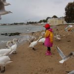 Территория открытий