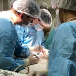 Свой – чужой