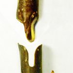 Весна не за горами