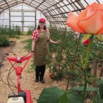 Яркие краски весны