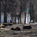 В рамках благоустройства