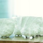 В слиянии с природой