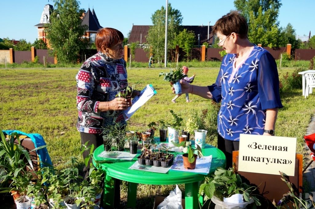 Детский сад рязань у глобуса. Верхний городской парк рязань. Верхний городской сад рязань. Верхний городской парк рязань. Сквер вишневый сад.