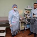 Из века в век – лечить людей