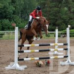 Эх, кони, кони, что за кони!