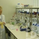 Инъекция для экономики