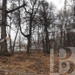 Голенчинская роща ждет преображения