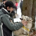 Усатые и хвостатые – в законе