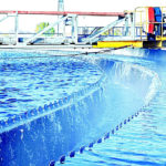 Запах аномалии