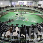 Лидеры среди лучших