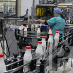 Молочные перспективы единственных в Европе