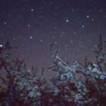 Горсть огней в ладонях ночи