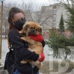 Питомцы в опасности