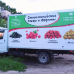 Клубничный бум. За ним – смородиновый!