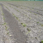 Подсчитывая потери