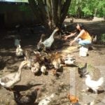 Перспектива достойной жизни