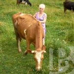 Легким шагом по трудному пути