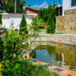 Шанс на спасение