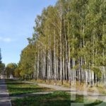 Парк сделает жизнь лучше