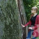 Зеленый навигатор