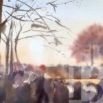 Переходы и контрасты