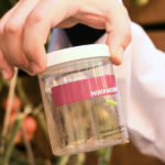 Передовые технологии выращивания овощей