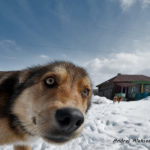 На счастье!