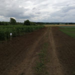 Идеи для роста