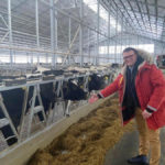 Наш район всегда славился животноводством