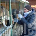 Помочь несуществующему приюту