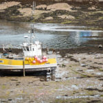 Большая вода и большая любовь