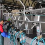 Молочные реки расширяют русло