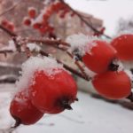 12 ноября 2021