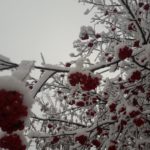 17 декабря 2021 г.