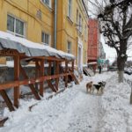 18 января 2022