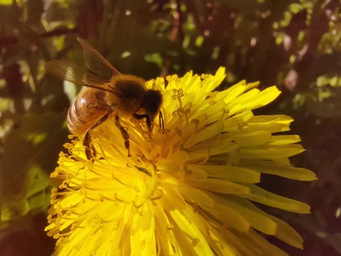 SQLHeUleG2VICkv8tBSp4AUjn6kXfBIRCUJWdWZ5z0QpKLg4etCZPuL2-qnrjRh7PNgjLXo_JMoMejKy1pADm1dD