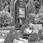 Опаленные войной