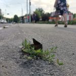 Опасные неожиданности