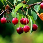 Ярко, солнечно, с любовью!