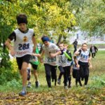 Накануне сезона