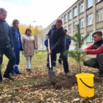 Шефы помогли