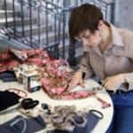 Больничный для самозанятого